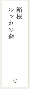 箱根 ルッカの森